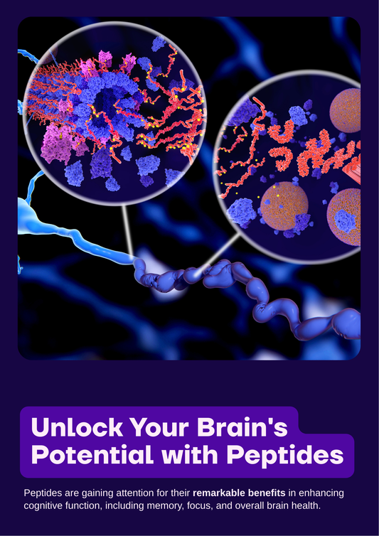 Cognitive Enhancement with Peptides Selank and N-Acetyl Semax